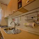 In - Insel Rab 26609 Apartment